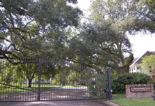 plantation oaks 02
